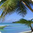Leinwandbild Sunny Beach - Bild 3