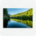 Leinwandbild Waldsee - Bild 1
