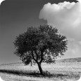 Leinwandbild Wolkenfeld - Bild 3