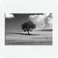 Leinwandbild Wolkenfeld - Bild 1