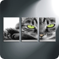 Leinwandbild cateyes - Bild 2