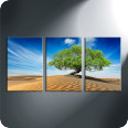 Leinwandbild desert tree - Bild 2