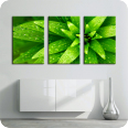 Leinwandbild fresh green - Bild 1