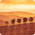 Leinwandbild golden landscape - Bild 3