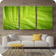 Leinwand-Bilder | Leinwandbild green closeup