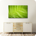 Leinwandbild green closeup - Bild 2
