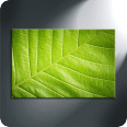 Leinwandbild green closeup - Bild 3