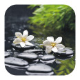 Anti Rutsch Sticker Gardenia - Bild 1