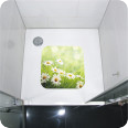 Anti Rutsch Sticker Margeriten - Bild 2