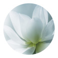 Anti Rutsch Sticker Lotus - Bild 1