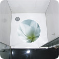 Anti Rutsch Sticker Lotus - Bild 2