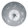 Anti Rutsch Sticker Pusteblume - Bild 1