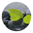 Anti Rutsch Sticker fresh green - Bild 1