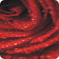 Wall-Print 89503 - Bild 3