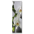 Wandbanner Motiv 18 - Bild 2