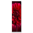 Wandbanner Motiv 33 - Bild 2