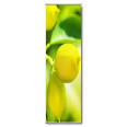 Wandbanner Motiv 39 - Bild 2