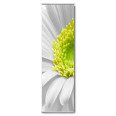 Wandbanner Motiv 5 - Bild 2