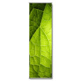 Wandbanner Motiv 66 - Bild 2