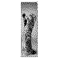 Wandbanner Motiv 93 - Bild 2