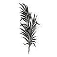 Wandtattoo Palmenblatt - Bild 3