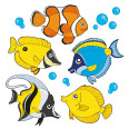 Wandtattoos | Kinder Wandtattoo Fische 3