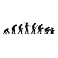 Wandtattoo Evolution - Bild 3