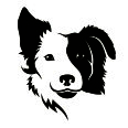 Wandtattoo Border Collie - Bild 3