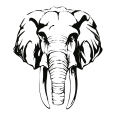 Wandtattoo Elefant - Bild 3