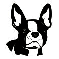Wandtattoo French Bulldog - Bild 3