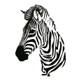 Wandtattoo Zebra - Bild 3