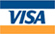 Visa Logo